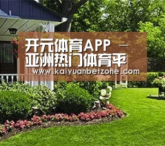 开元体育APP - 亚洲热门体育平台
