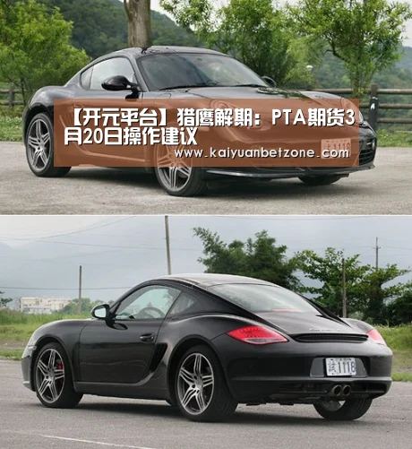 【开元平台】猎鹰解期:PTA期货3月20日操作建议(图2) 开元电竞