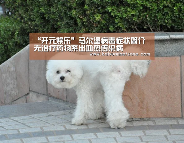开元平台