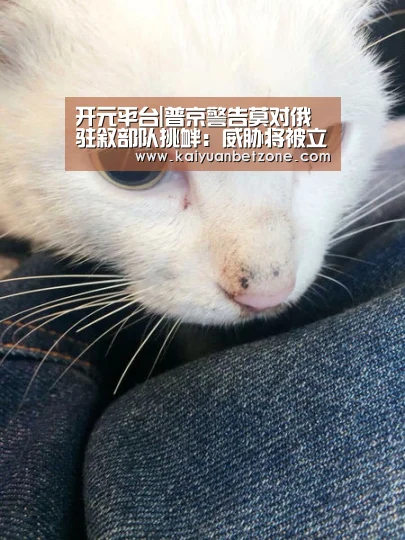 开元APP