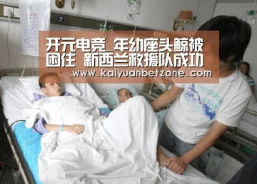 开元电竞_年幼座头鲸被困住 新西兰救援队成功解救(图3) 开元平台