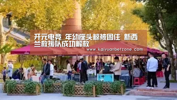 开元电竞_年幼座头鲸被困住 新西兰救援队成功解救(图4) 开元电竞