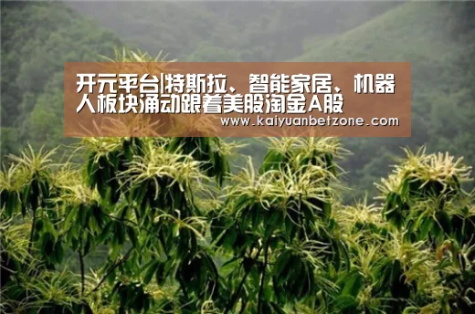 开元平台|特斯拉、智能家居、机器人板块涌动跟着美股淘金A股(图1) 开元APP