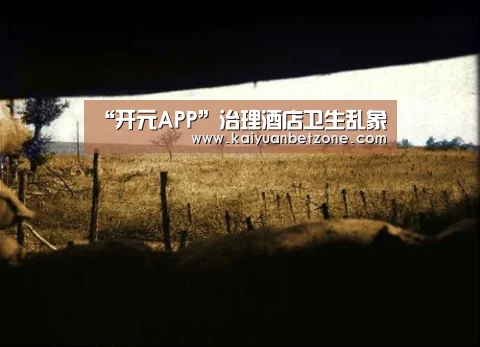 “开元APP”治理酒店卫生乱象(图2) 开元平台