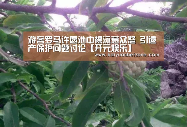 游客罗马许愿池中裸泳惹众怒 引遗产保护问题讨论【开元娱乐】(图4) 开元娱乐